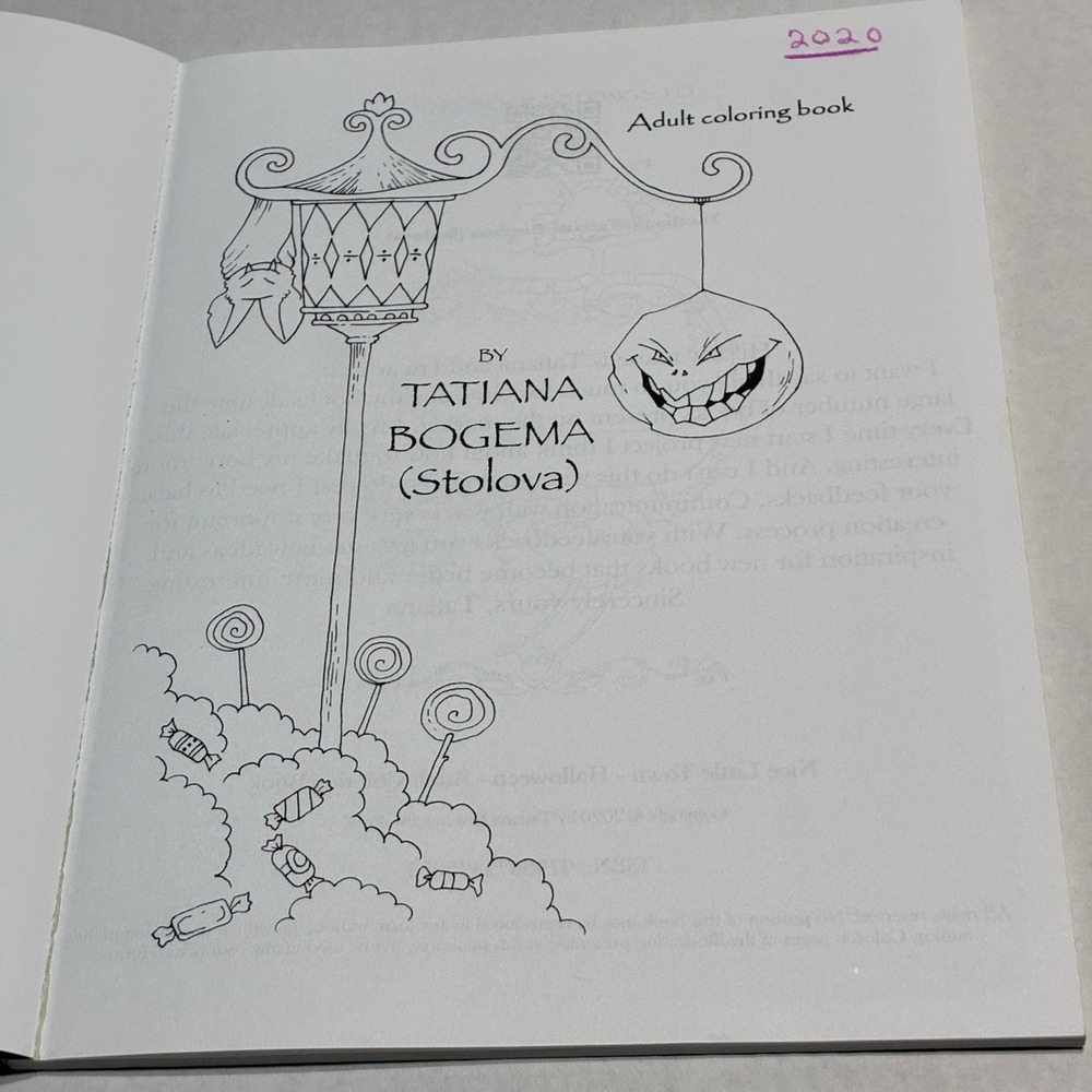 Nice Little Town Halloween Adult Coloring Book Tatiana Bogema Whimsical Spooky - Picture 10 of 11